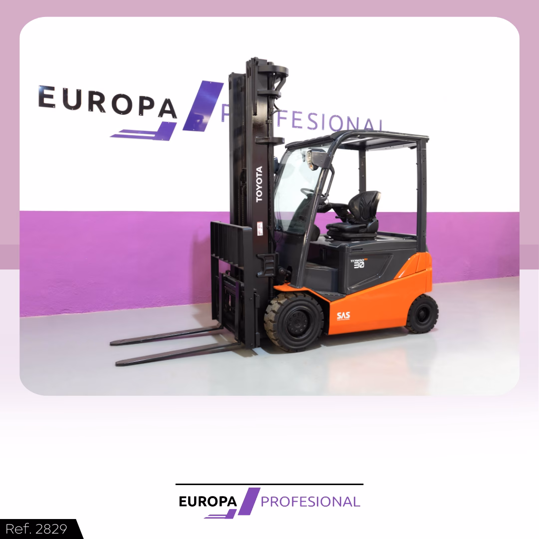 2 - EUROPA PROFESIONAL